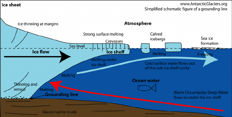 Illustration for article titled This is What Will Happen to Antarctica in 100 Years